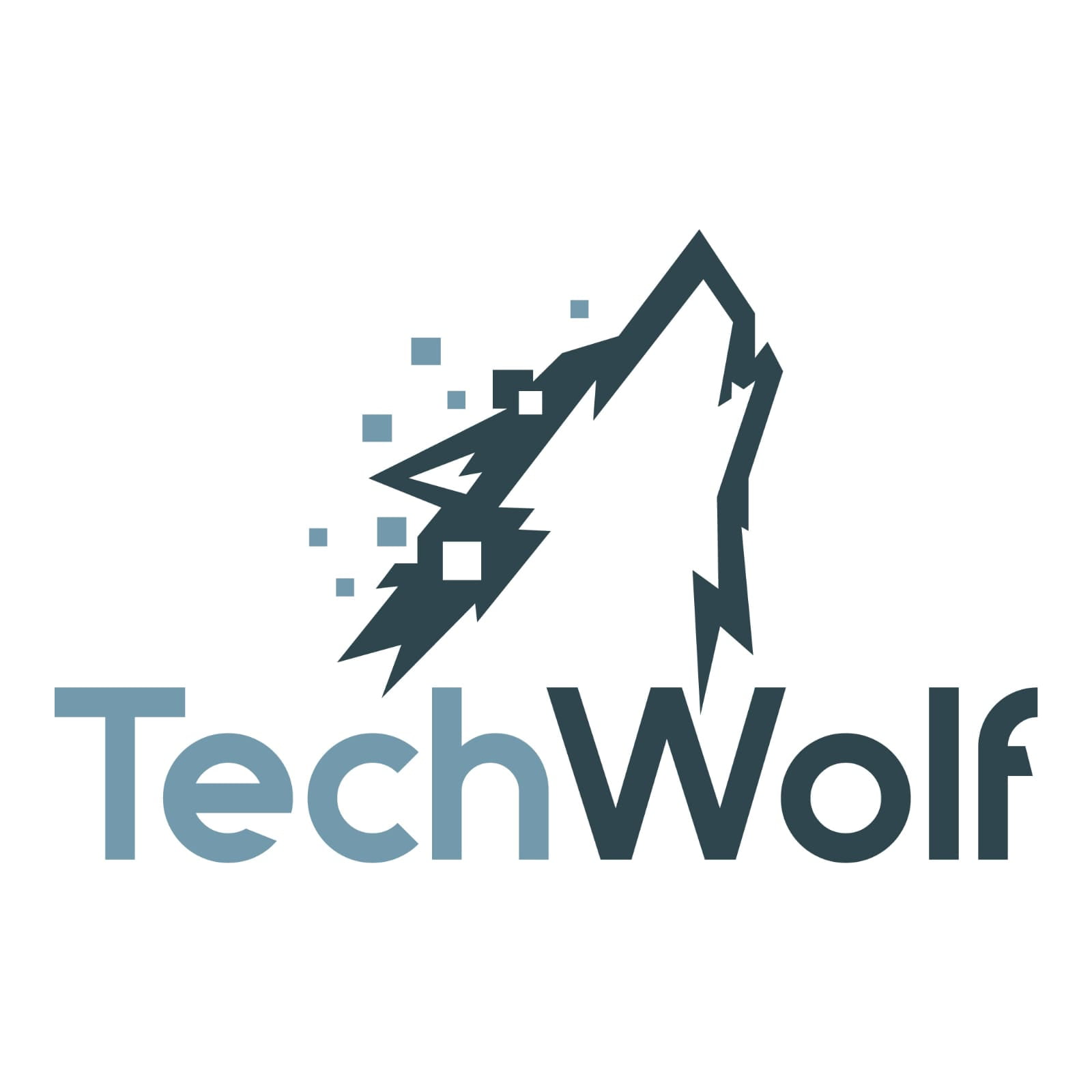 TechWolf ApS | IT Managed Services